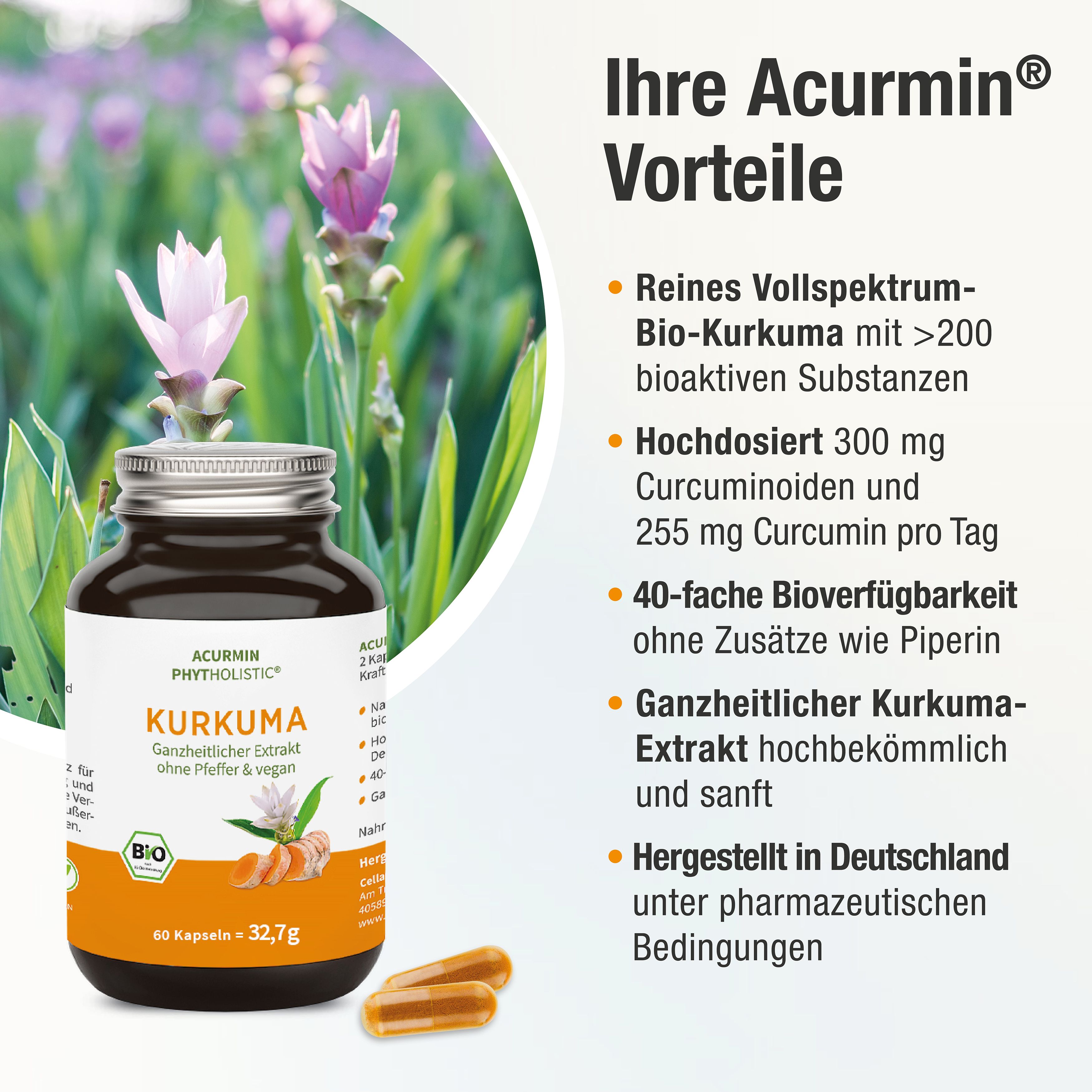 Acurmin Phytholistic® - Bio Kurkuma
