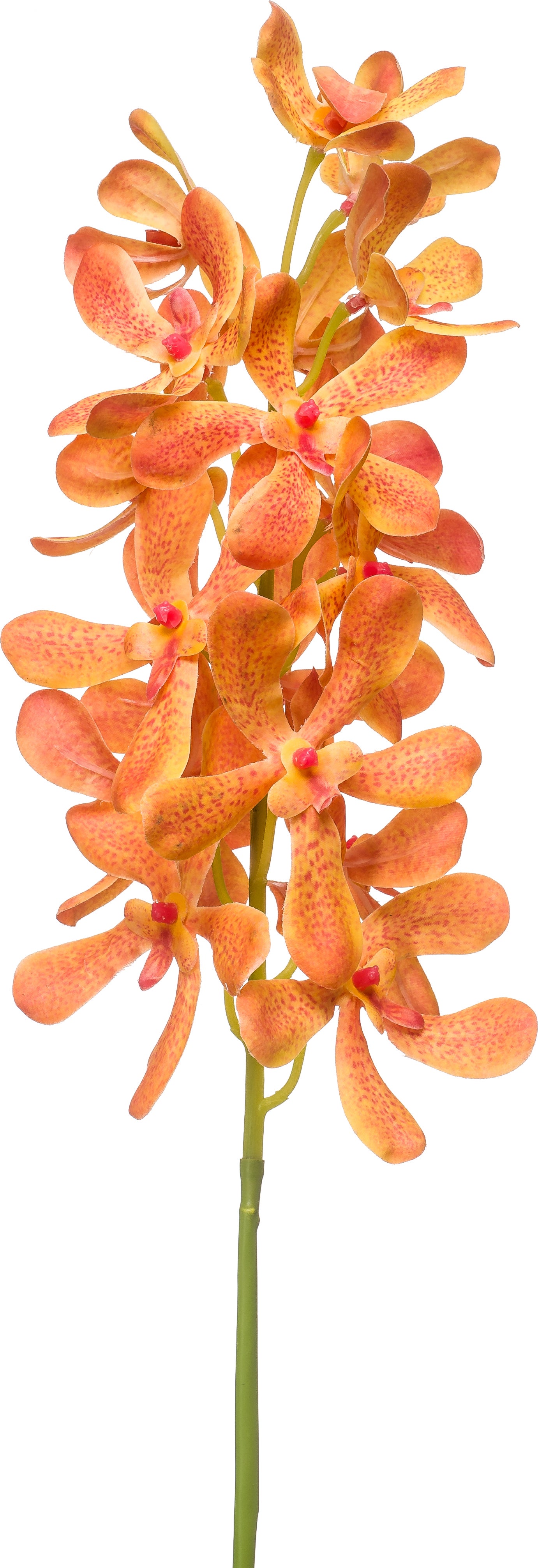 Emerald kunstbloem Vanda-orchidee oranje 80 cm