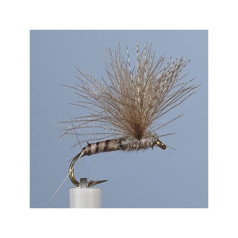 Mouche Jmc Emergente 22