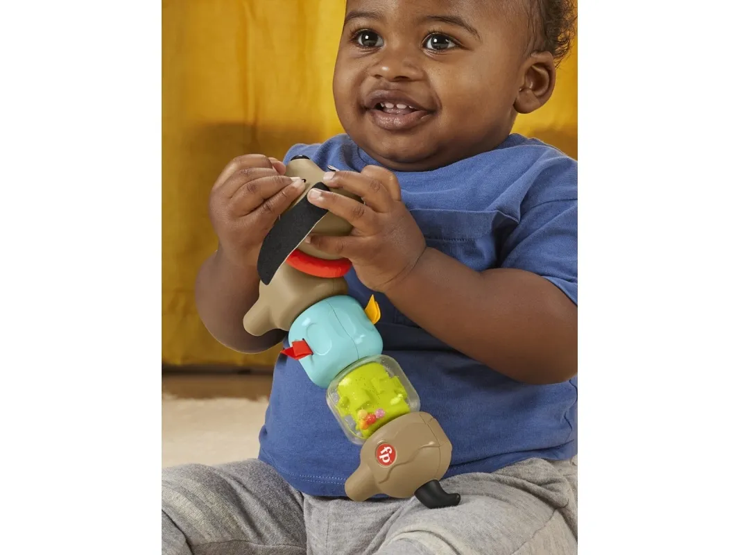 Fisher Price Click & Spin Activity Pup CDU