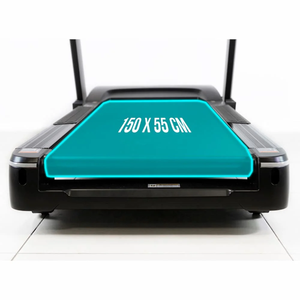 BH FITNESS RS900