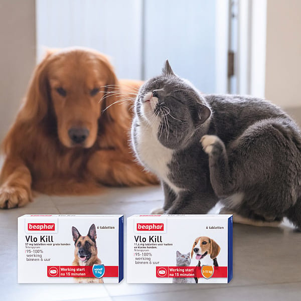Beaphar Vlo Kill+ Hond en Kat tot 11 kg 6 tabletten