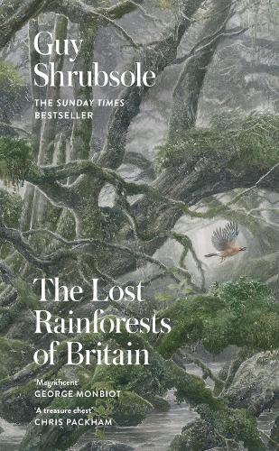 The Lost Rainforests of Britain (Hardback)