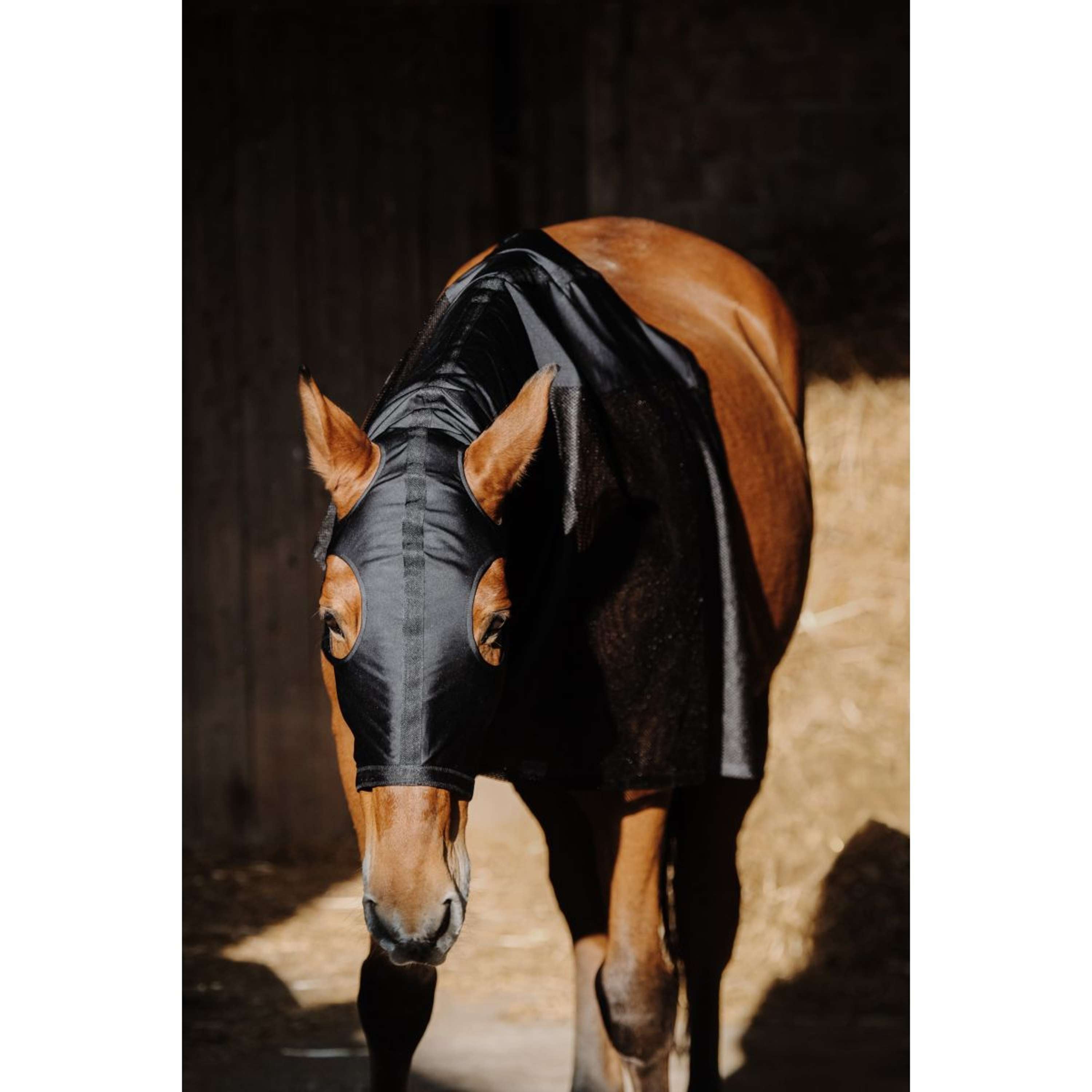 EQUITHÈME Nek Beschermer Lycra/Mesh Zwart