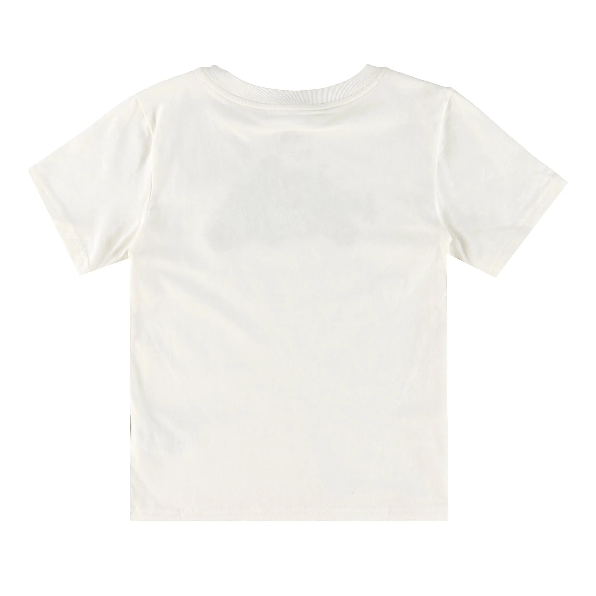 The North Face T-shirt Graphic 7-16ans
