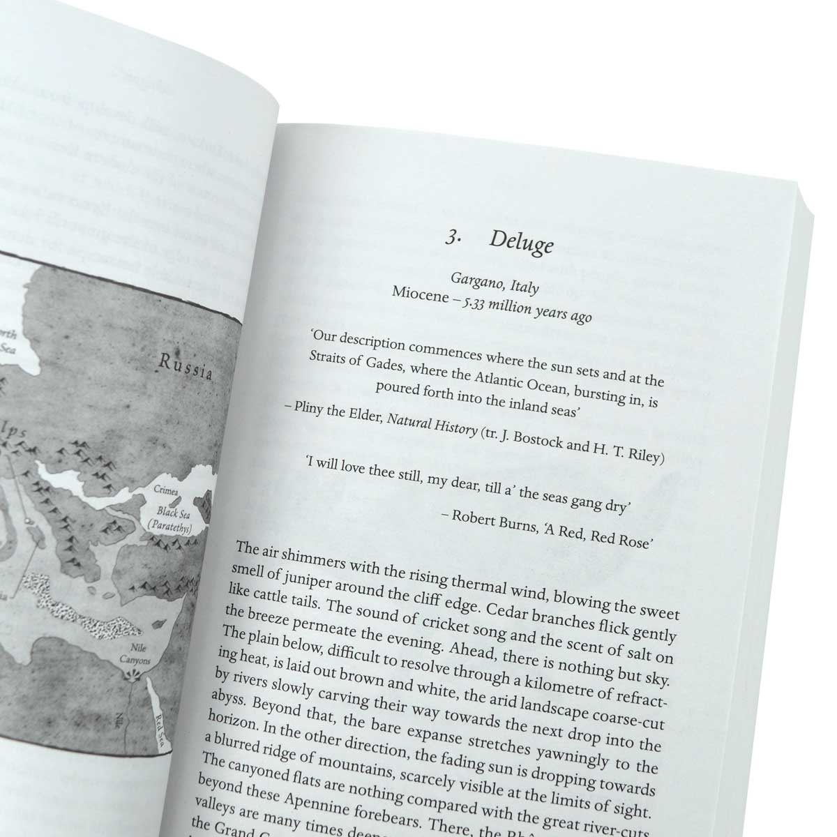 Otherlands: A World in the Making (Paperback)