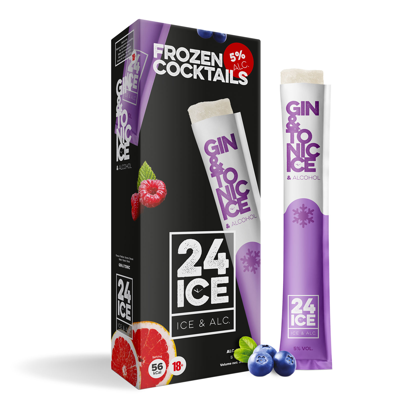 24ICE Gin & Tonic Cocktail Wassereis 5,0 % vol 5 x 65 ml