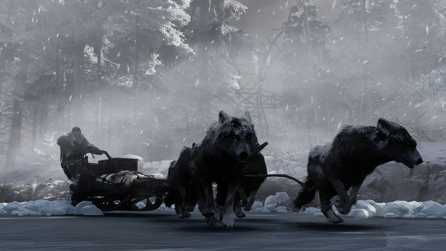 Fade to Silence- PC