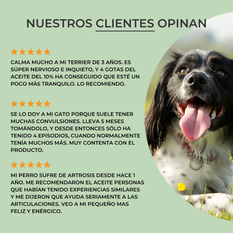 Óleo de CBD Feel Cocoa 10% para Cães e Gatos | 10 ml
