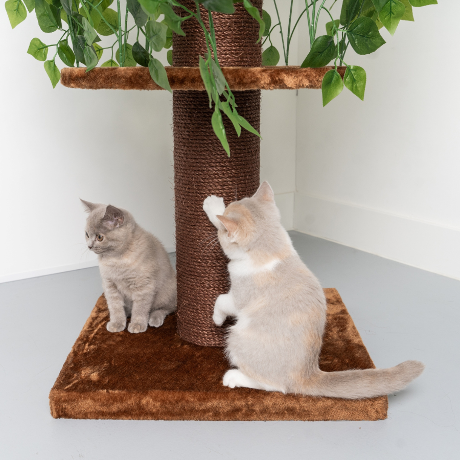 Arranhador para Gatos com Design de Folhas Naturais