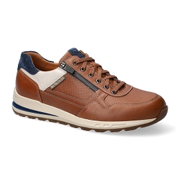 bradley  RANDY 6135/ne.1580/ve. 3669  HAZELNUT