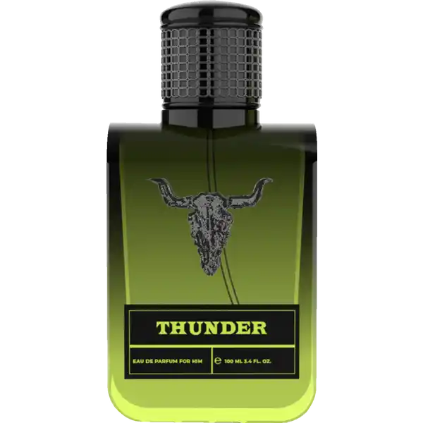 THUNDER for him, EdP 100 ml