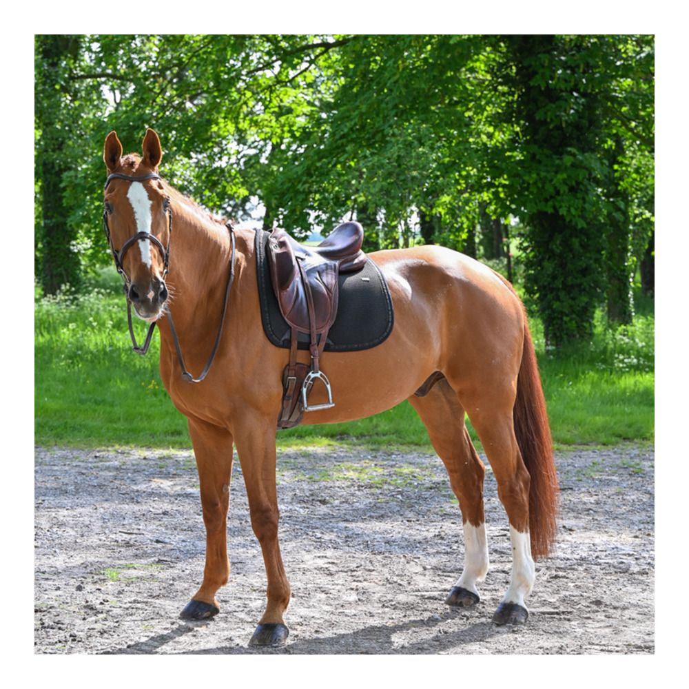 Gem MESH - Tapis de dressage noir/noir