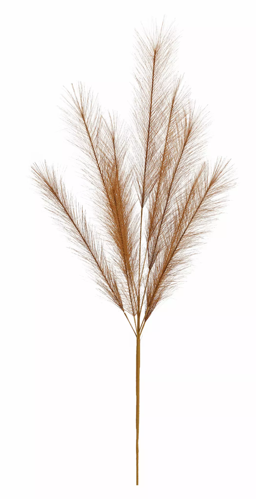 Deko-Zweig Pampasgras 91 cm