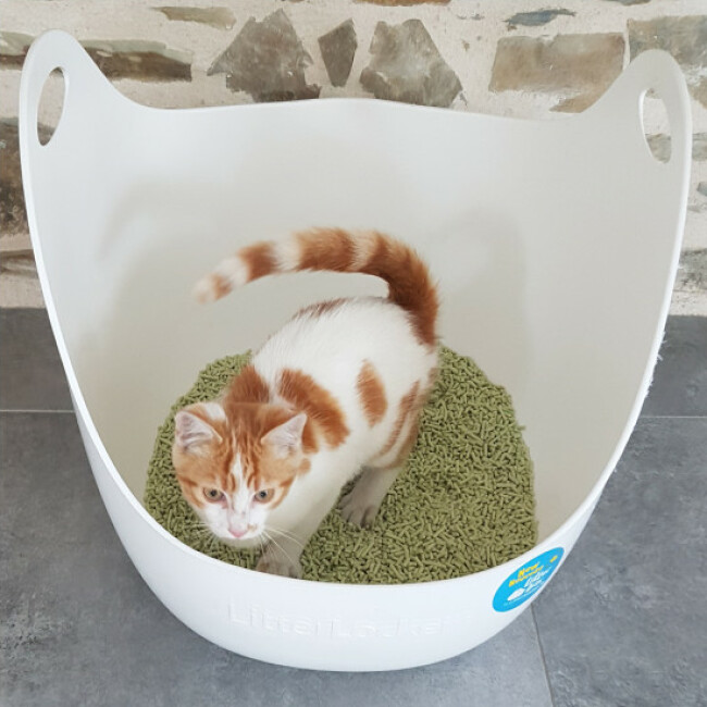 Litière Tofu végétale K-litter Sac 6 litres
