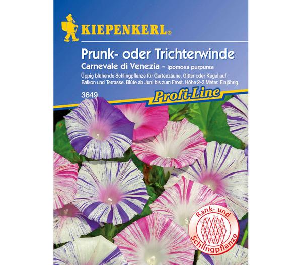 Kiepenkerl Saatgut Prunk- oder Trichterwinde