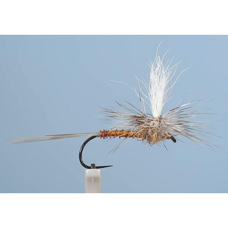 Mouche Ephemere Jmc Dc51 Bl