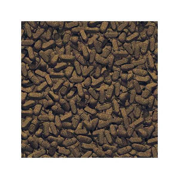 Propond silkworm 1kg 3l (ver à soie)