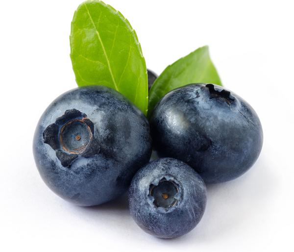 Heidelbeer-Set Blaubeer-Liebe, 4-teilig