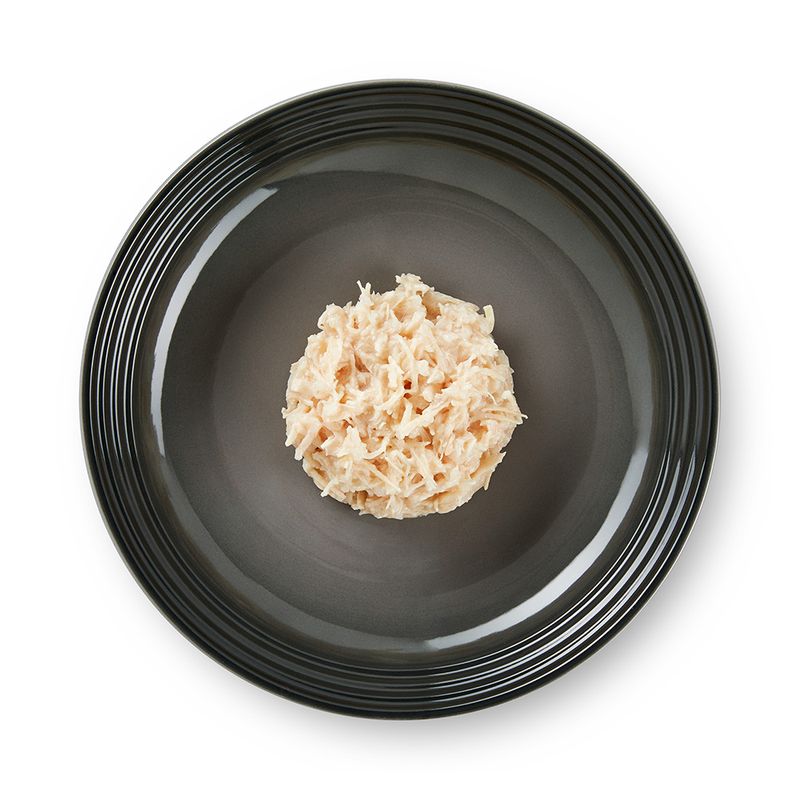 Lot Encore Kitten en gelée 10 x 50 g
