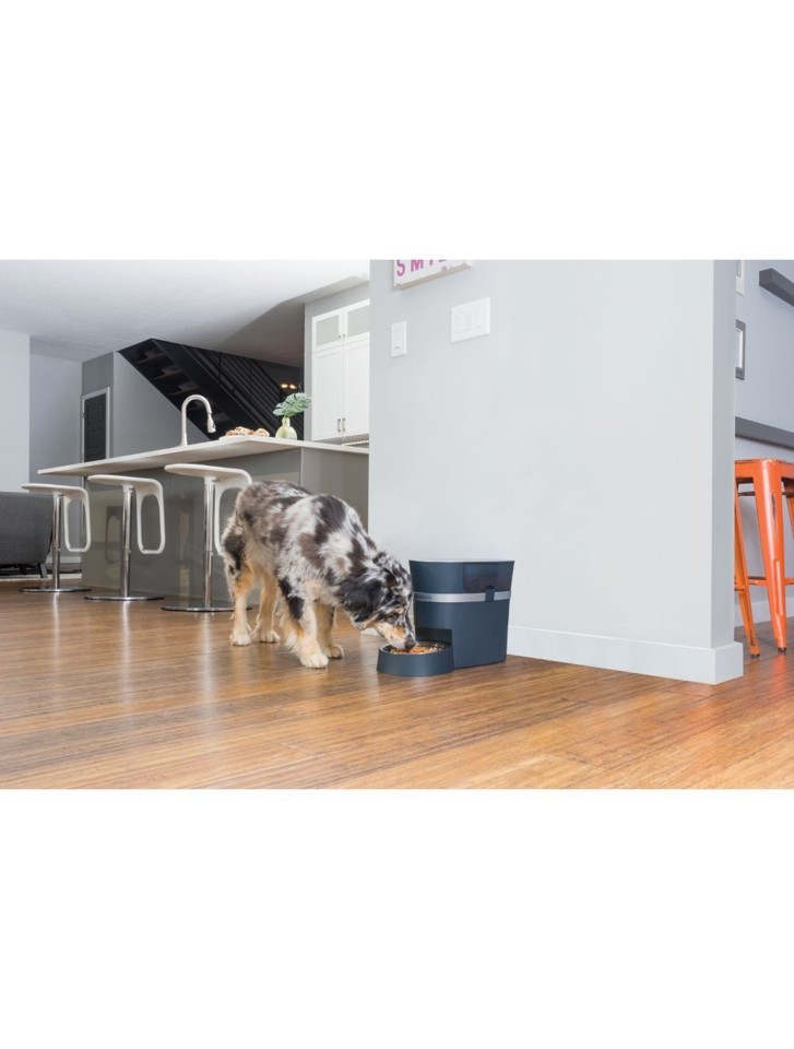 Petsafe - Smartfeed 2.0 Foder automat med wifi til Hund og kat