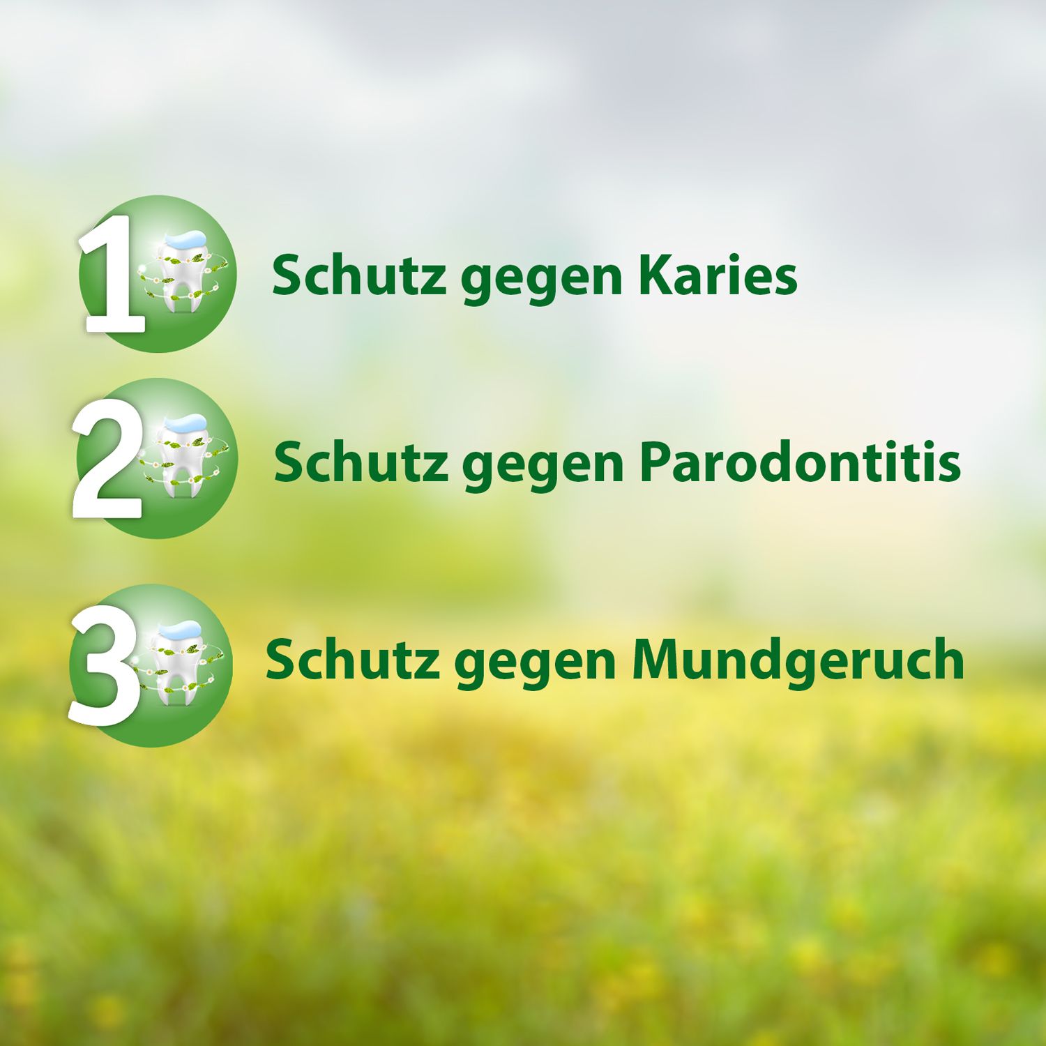 Salviagalen Madaus - Medizinische Zahnpasta ohne Fluorid