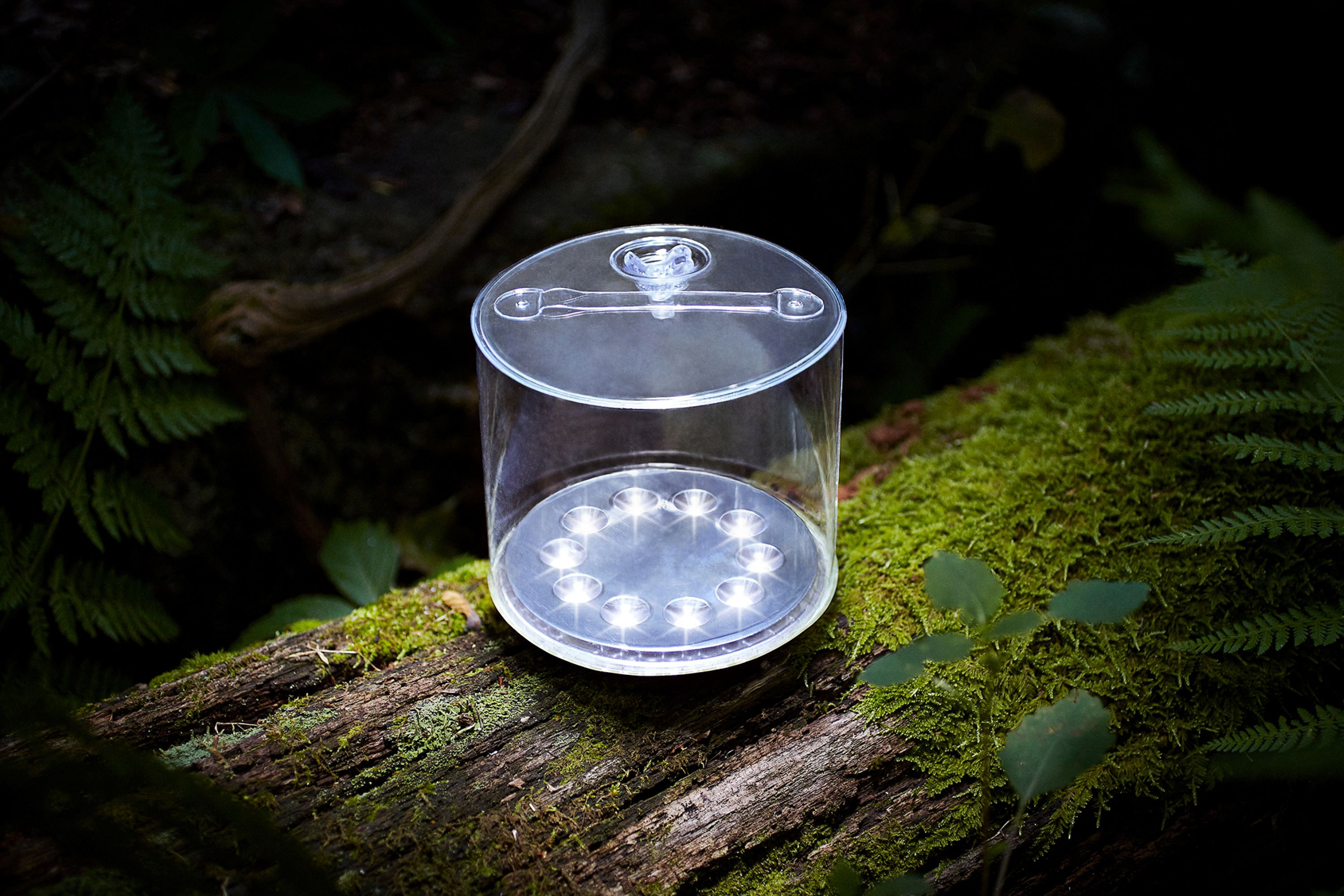 Luci Original Clear
