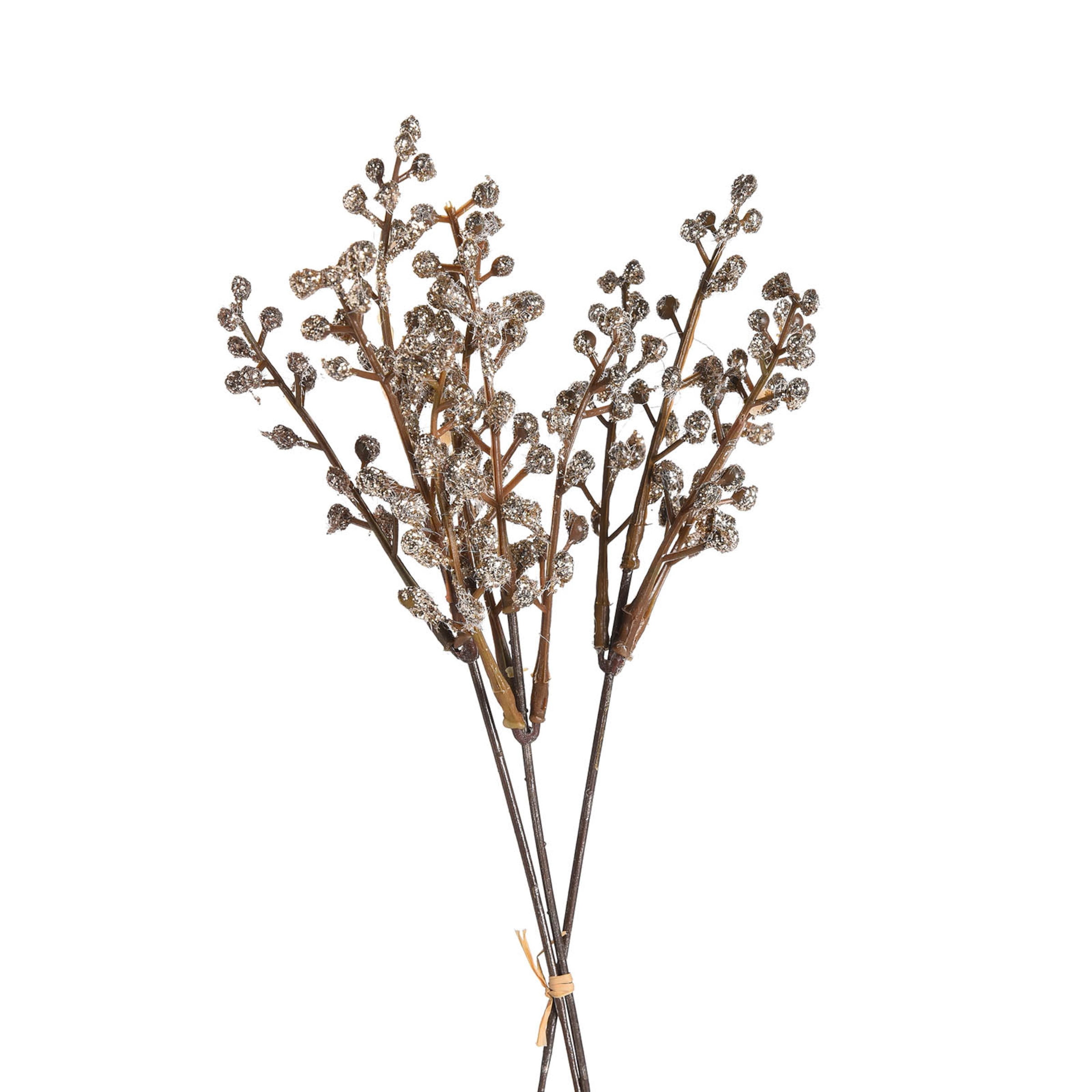 champagne, L 22 cm
