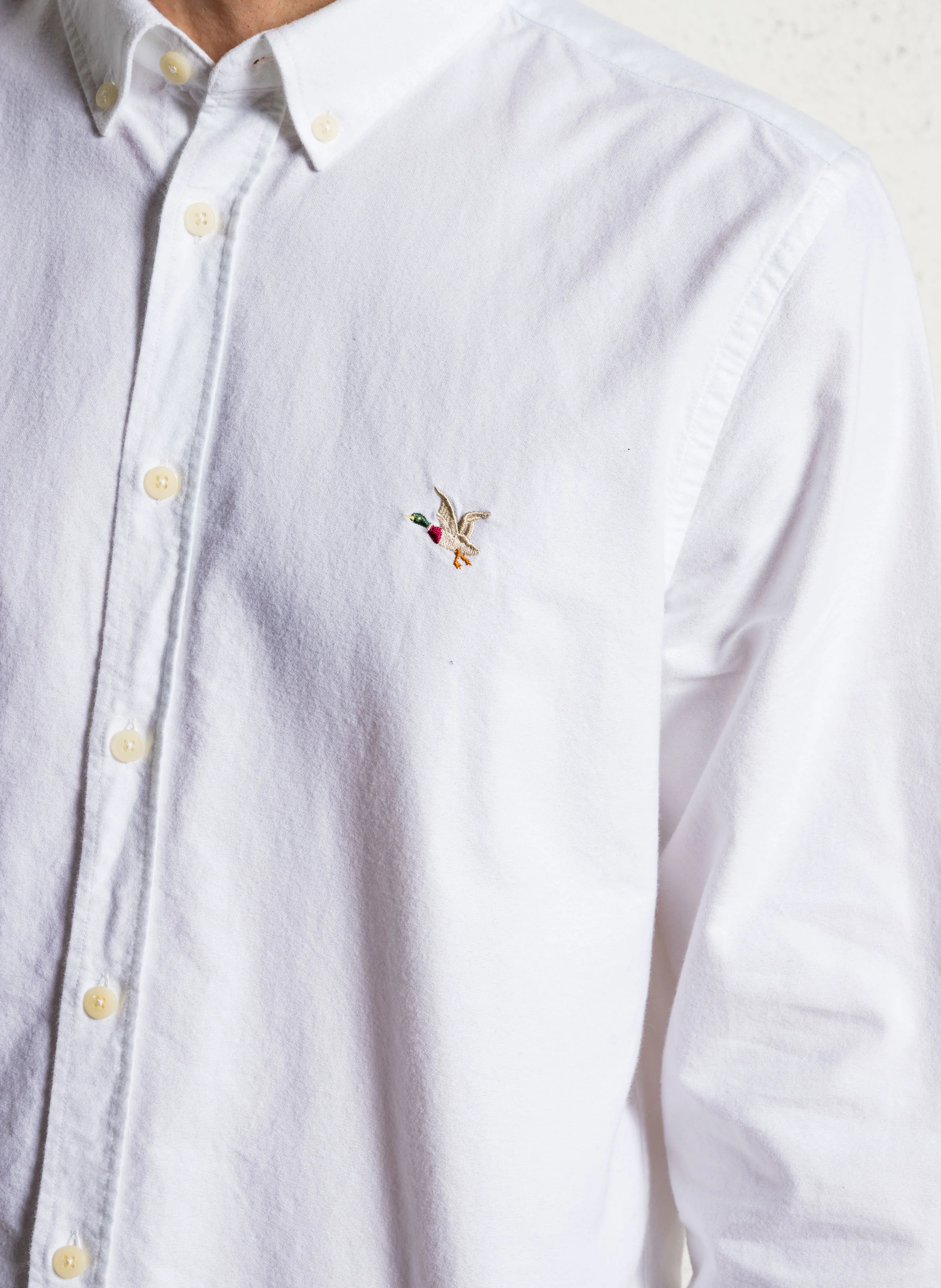 OXFORD 2 TOGS - Chemise droite à col classique en coton| Blanc