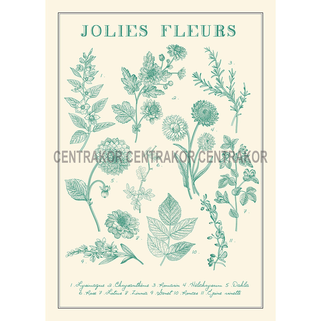Affiche déco Herbier jolies fleurs 21x29.7cm