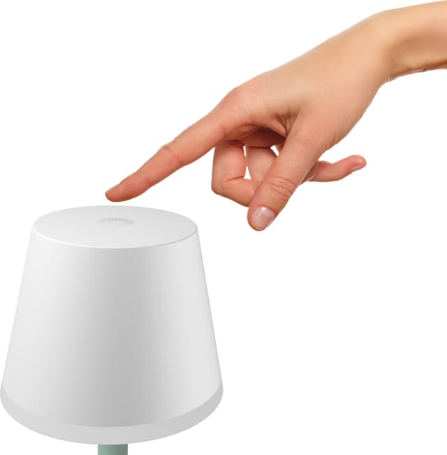 Philips Hue Go bærbare bordlampe (hvid)