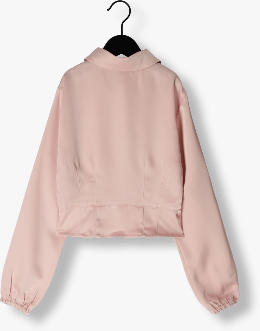 FRANKIE & LIBERTY roze frankie & liberty blouse karin blouse