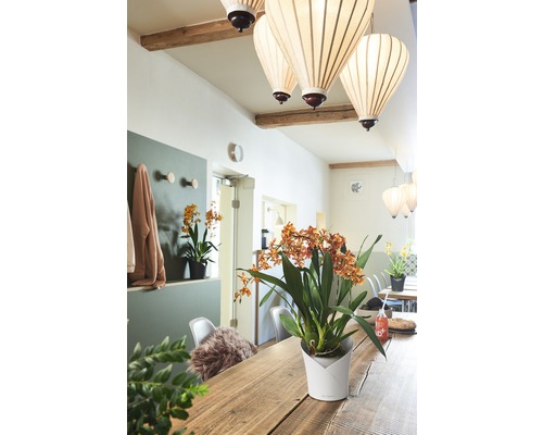 Lechuza Orchidea plantenpot, kunststof, 18x18x20 cm, wit, inclusief zelfbewateringssysteem en planteninzet