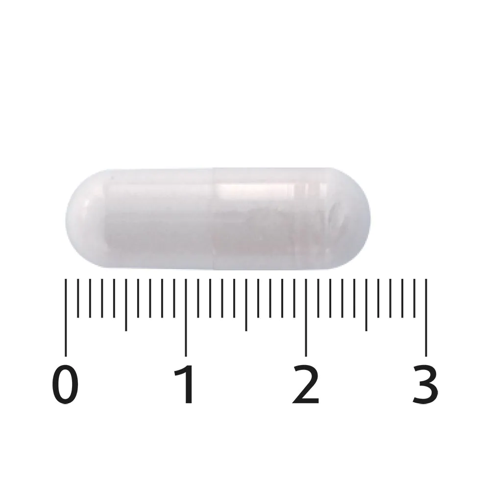 NAC+ 60 capsules