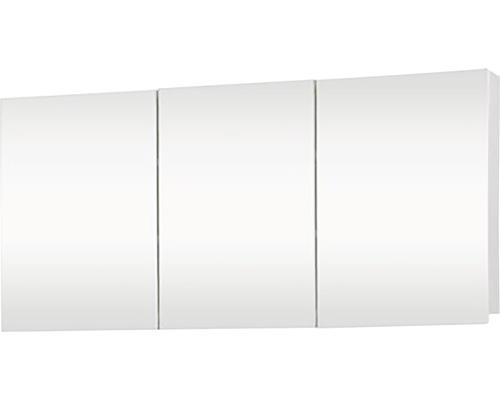 Brida spiegelkast 50 x 100 x 15 cm