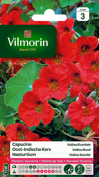 Graines de Capucine Valina Ecarlate Vilmorin