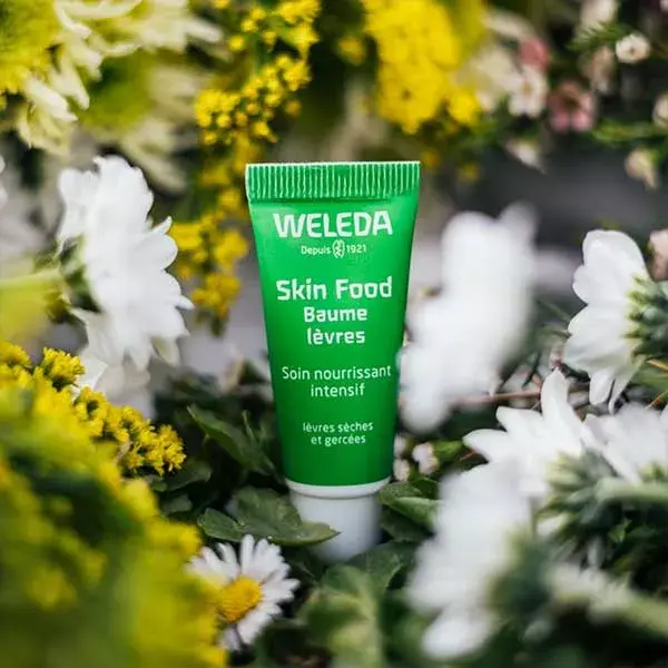 Bálsamo Labial Nutritivo Weleda Skin Food 8ml