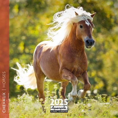 Calendrier mensuel 30x30 cm - 16 mois - Chevaux