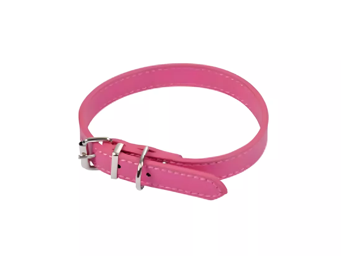 Collier pour Chien 