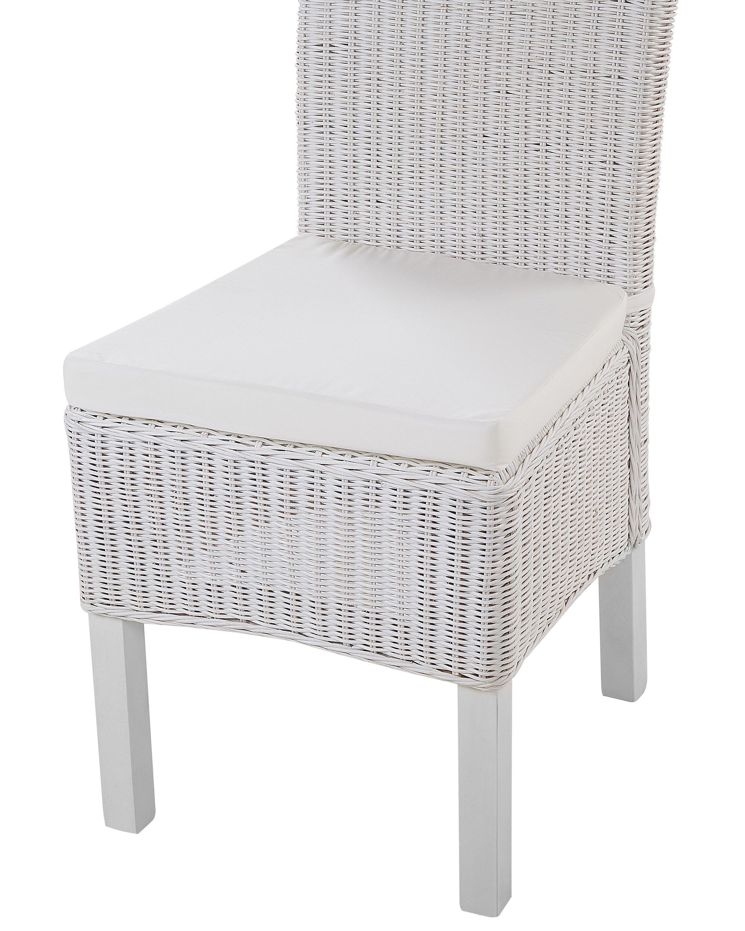 Set van 2 eetkamerstoelen ANDES Rotan Wit