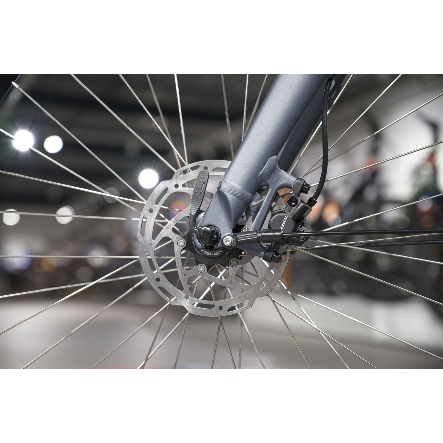 Batavus Dinsdag E-Go Exclusive LTD
