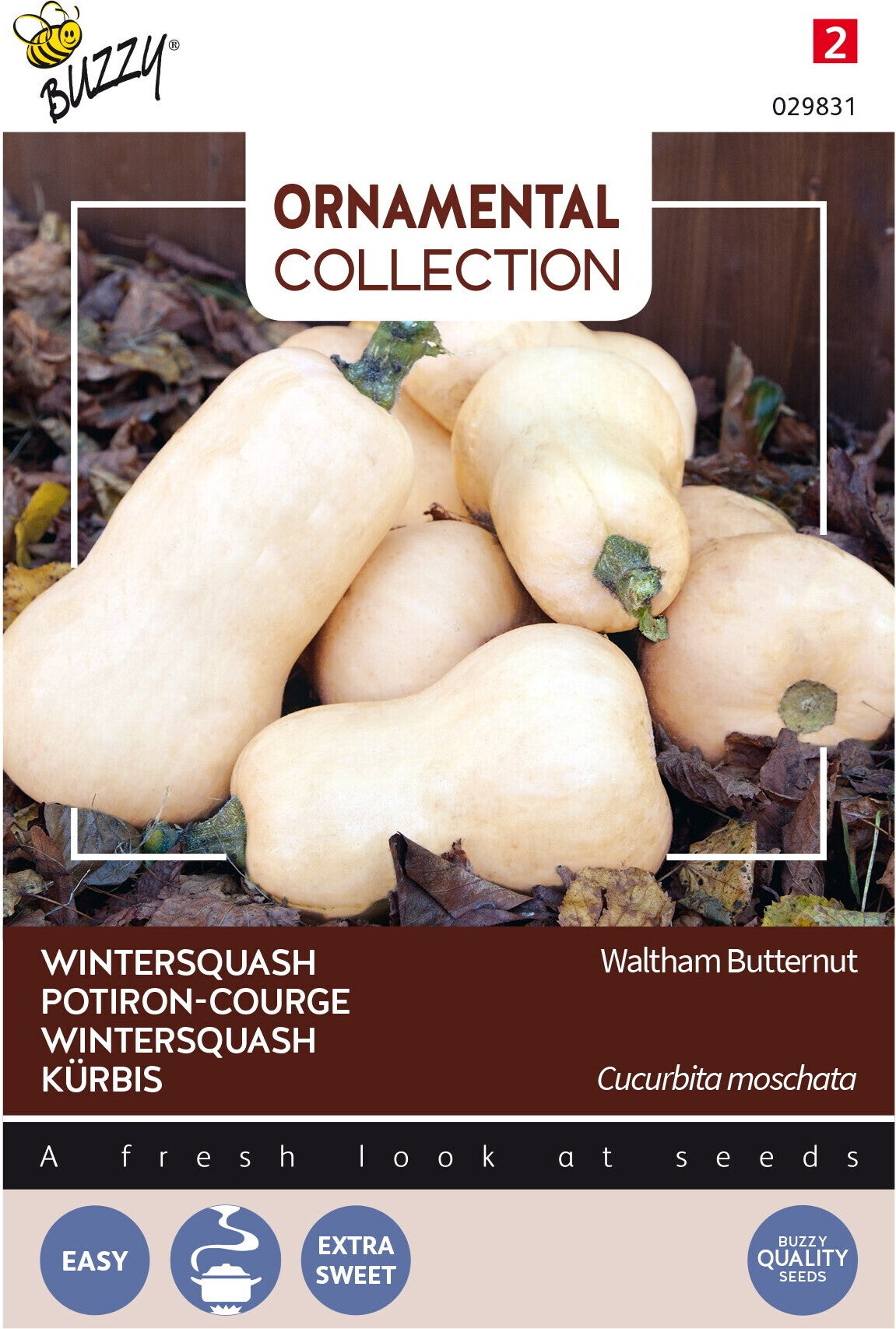 Buzzy® Ornamental groentezaad Wintersquash (Cucurbita 'Waltham Butternut')