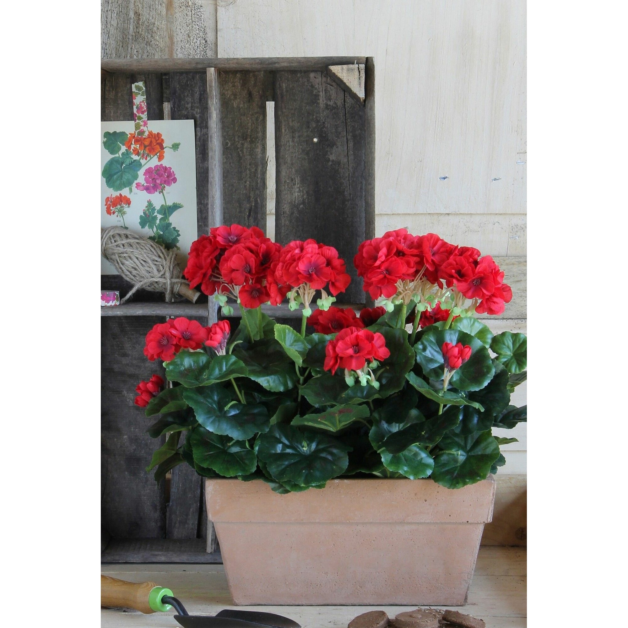 Mica Decorations Geranium rood in balkonbak terra - l29xb13xh40cm