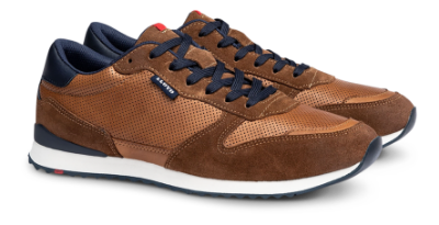 Lloyd Kraftig herresko Brun 14-414