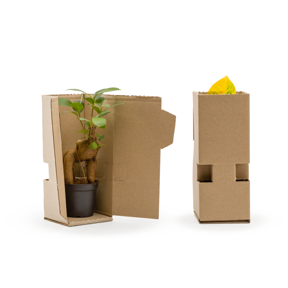 Terra kit - jungle m ginseng