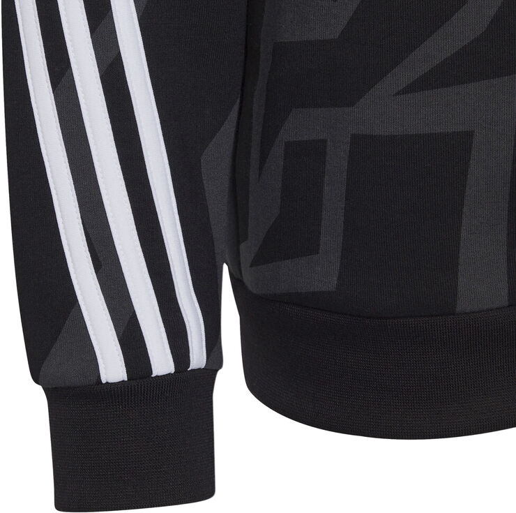 adidas Future Icons 3-Stripes Graphic hættetrøje Sort