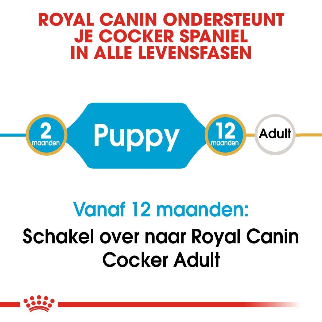 Royal Canin Cocker Puppy - Hondenvoer - 3 Kilogram - gevogelte