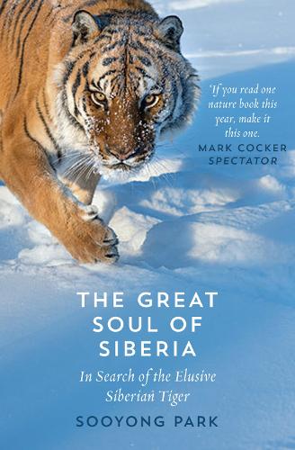 The Great Soul of Siberia: In Search of the Elusive Siberian Tiger (Paperback)