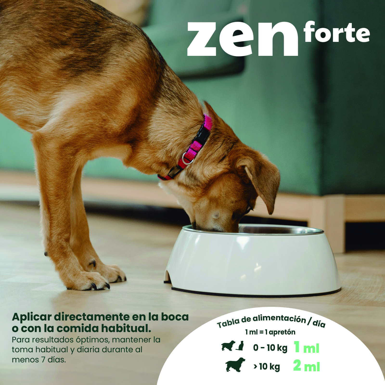 MOOIZA zen forte