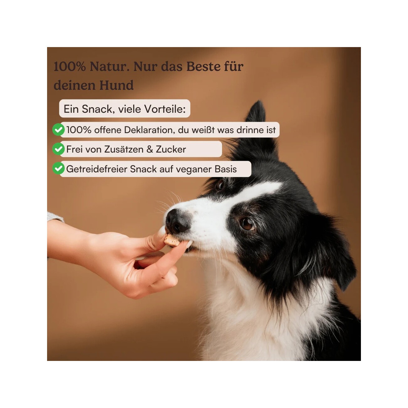 Hunderunde Hundehappen Seniorenschmaus 3x100g I Weiche, pflanzliche Snacks für Hunde jeden Alters – extra soft, leicht verdaulich und einfach lecker